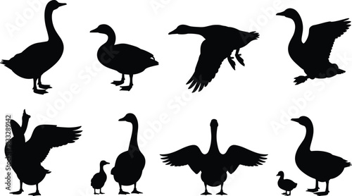 Set of Black Crocodile and Alligator Silhouettes Vector Illustration Isolated on White Background for Wildlife Logos and Design
