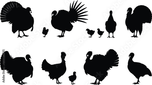 Turkey and chick silhouettes in various poses — black vector set of farm birds on white background for illustration use