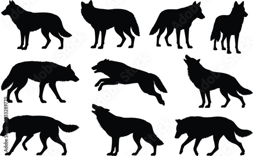 Wild wolf silhouettes in various poses including howling, walking, standing, leaping — black animal vector set on white background