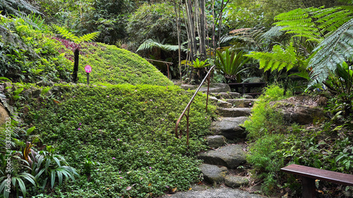 Tranquil image of a tropical garden, deep within the Tropical Spice Garden rainforest sanctuary in Penang, Malaysia.