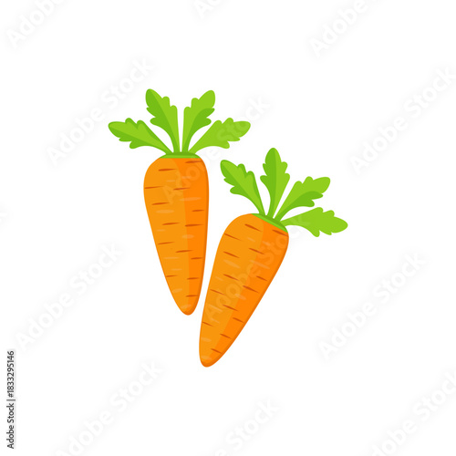 Carrot vector illustration. vegetables vector, agriculture, salad ingredients , fresh vegetables vector