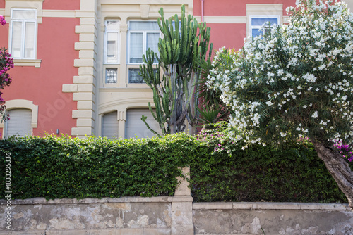 Huge succulents, palm trees and blooming trees in a front garden of an old art nouveau house on Sicily island
