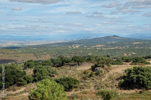 Wide Dehesa Landscape with Distant Wind Power Generation