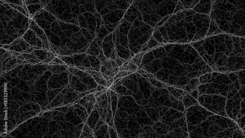 Fine Mycelium Network Line Art on Black and White