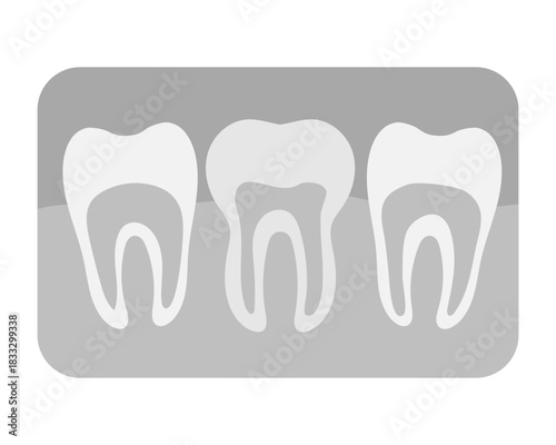X-ray of teeth illustration flat. Gums and roots of teeth element for brochure, dentistry, dental care..