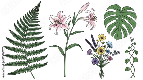 High-quality colorful black outline art of plants and flowers, including fern leaf, monstera, lily, wildflower bouquet, and curling vine, detailed minimal line illustrations on white background