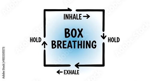Box breathing technique diagram isolated on white background demonstrating inhale, hold, exhale, and hold steps