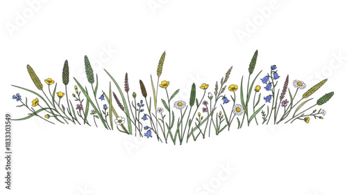 High-quality colorful black outline realistic art of minimal border arrangement of wild grasses and delicate flowers, flowing line design, natural botanical illustration