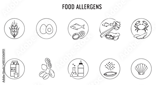Food Allergens Icon Set Featuring Common Food Sensitivities and Intolerances Including Wheat, Eggs, Fish, Peanuts, Shellfish, Milk, Nuts, and Sesame Seeds
