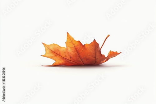 Dry brown leaf on white background. AI image