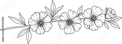 Delicate floral sketch with blossoms leaves and a minimalist botanical design