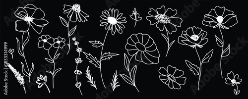 Dark floral silhouette art, Black botanical sketching, Elegant shadow florals