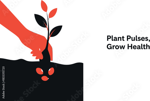 Planting pulses, a hand cultivates new life for health growth