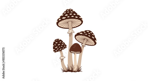 Detailed illustration of a cluster of wild mushrooms with spotted caps, rendered in a natural, earthy color palette on a white background.