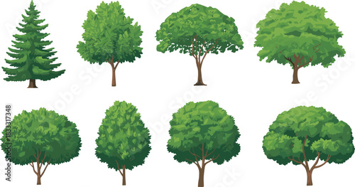 Stylized tree collection featuring deciduous and coniferous varieties for botanical, educational, and landscape-themed illustration and design use.