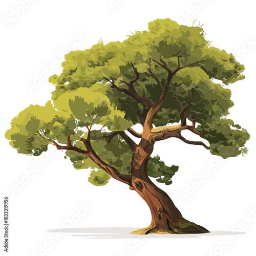 Minimal 2D vector illustration of Juniper Tree in flat icon style on a plain white background.