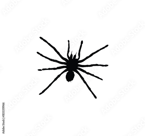 Black silhouette of a spider with eight legs on a white background.