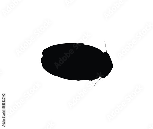 Silhouette of a cockroach, a common household pest known for its resilience and adaptability.