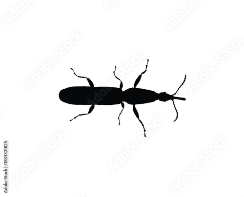 Black Silhouette of an Ant Insect on an Isolated White Background