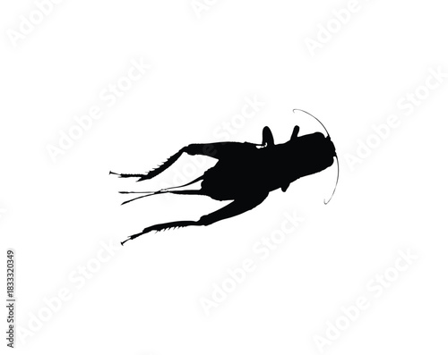 A black silhouette of a cricket insect viewed from above on a plain white background.