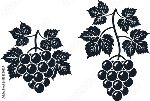 Grapes logo. Isolated grapes on white background