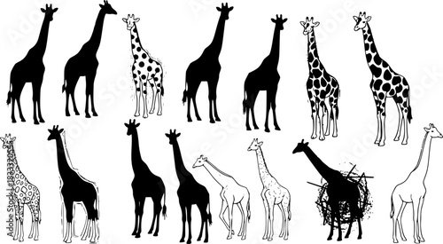 Diverse artistic styles of giraffes in simple silhouettes and sketches