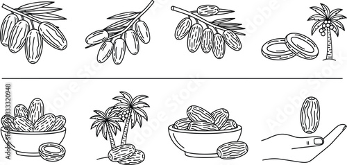 Jojoba plant and oil sketch set for cosmetic and healthcare use