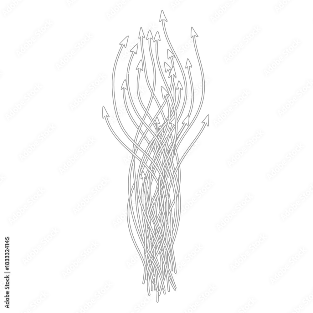 Fototapeta premium Set of a vector arrows , illustrator