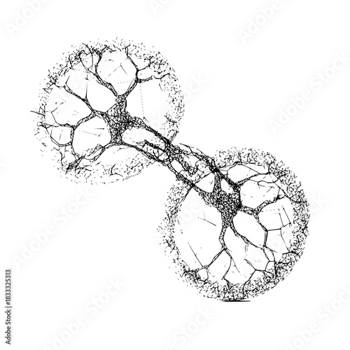 Abstract black and white drawing of two interconnected cell structures