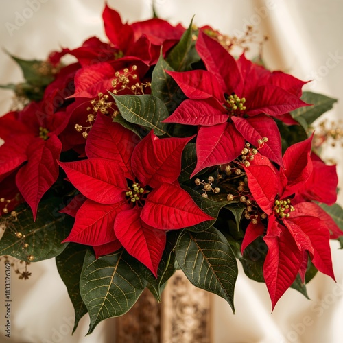 Bright Red Poinsettias Arranged in a Decorative Vase for Holiday Celebrations...