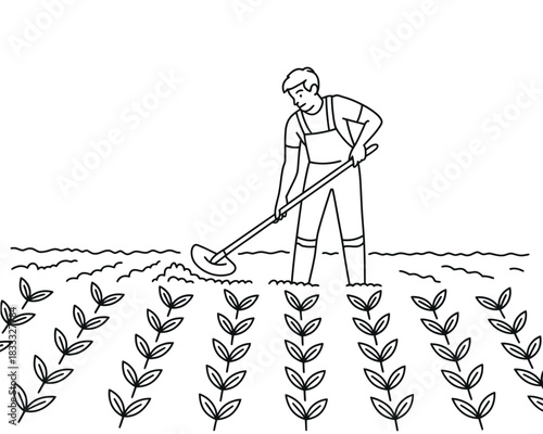 A farmer cultivates rows of young plants in a field.