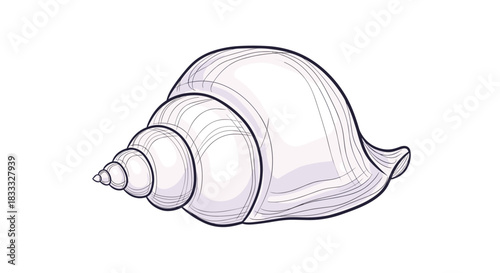 Detailed hand-drawn animation of a spiral whelk seashell, an elegant marine illustration for summer, beach, and ocean life themes.