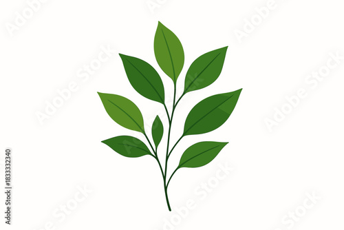 Minimalist Greenery. Minimalist botanical arrangement of fresh green leaves placed vector illustration on a clean white background