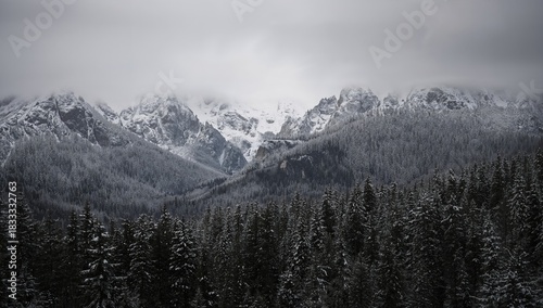 Majestic Snow-Covered Mountains Shrouded in Mist and Surrounded by Evergreen ...