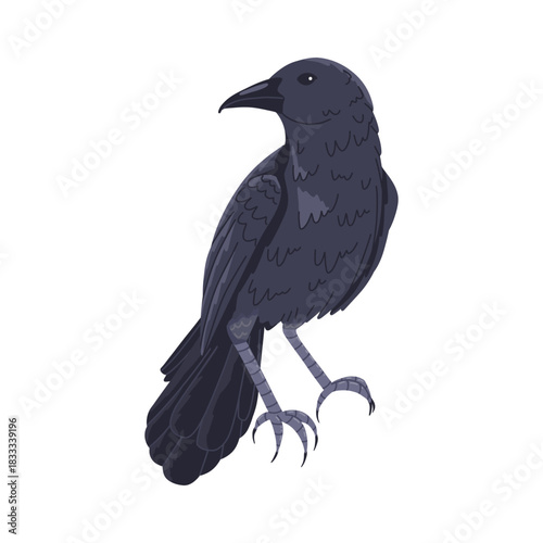 Raven black bird sitting upright. Simple dark feather details and clean silhouette isolated on white. Vector simple flat illustration for packaging design, stickers, labels and branding