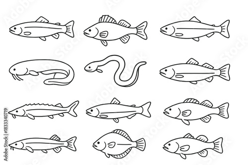 Aquatic Species Icons. Line style icons of aquatic species: trout, perch, carp, salmon; catfish, eel, herring, cod; sturgeon, pike