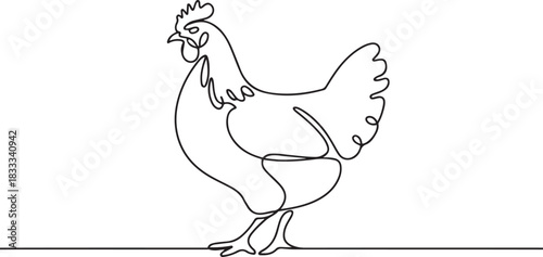 Continuous line art or One Line drawing of chicken for vector illustration, business farming. chicken pose concept. one line Icon drawing