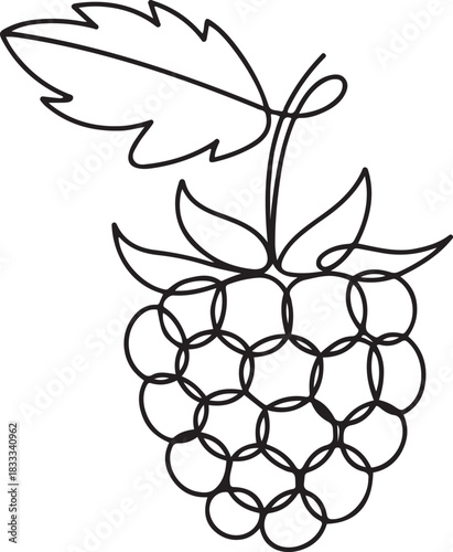 Single continuous line drawing whole healthy organic raspberry for orchard logo identity. Fresh berry fruitage concept for fruit garden icon. one line Icon drawing