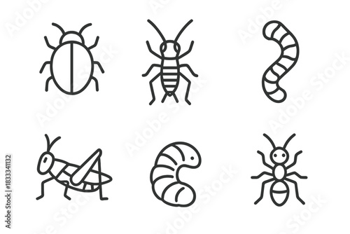 Bug Flavor Icons. Line style icons of bug flavor icons: savory beetle, nutty cricket, earthy worm, spicy locust, buttery larva,