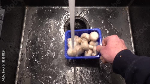 Stockholm, Sweden A man washes a plastic container with fresh store-bought mushrooms in a kitchen sink.  