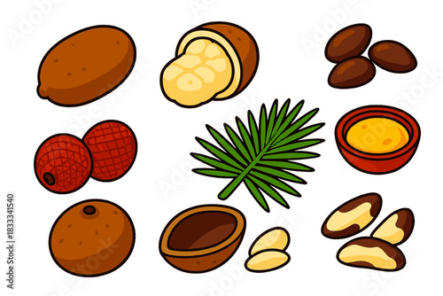 Tropical Fruit Icons. Isometric vector illustration set Tropical fruits – cupuaçu fruit, cupuaçu half, cupuaçu seed; buriti fruit,