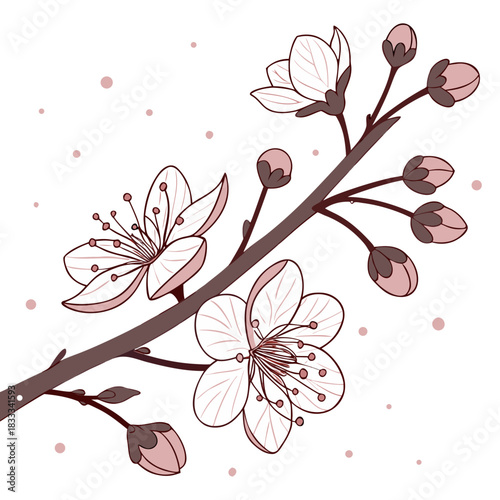 Cherry Blossom Stock Illustration on transparent Background. Delicate cherry blossom branch symbol of spring on transparent Background. Tranquil Cherry Blossom Branch, Poetic Asian Beauty, Vector