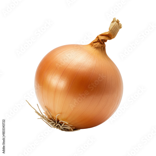 Wallpaper Mural A perfectly spherical fresh yellow onion with golden-brown papery skin, dry stem, and fibrous roots, on a pristine transparent background, concept of natural wholesomeness Torontodigital.ca