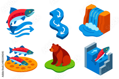 Salmon Migration Adventure. Isometric vector illustration set Freshwater Migration: salmon jumping upstream, river current arrows,