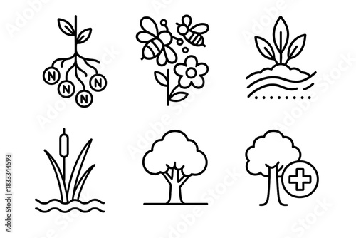 Ecological Roles Icons. Line style icons of ecological roles in ethnobotany: nitrogen-fixing root, pollinator flower,