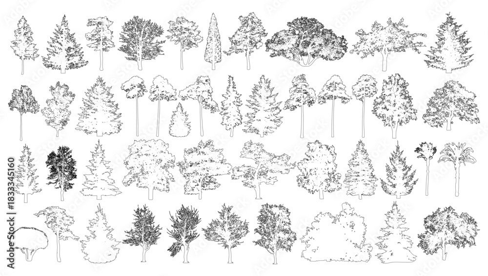 Obraz premium Coniferous and deciduous trees set, contours. Vector illustration