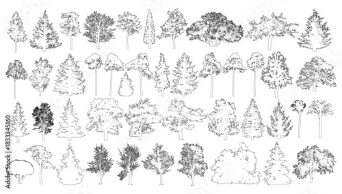 Coniferous and deciduous trees set, contours. Vector illustration
