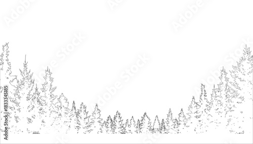 Contour of forest , coniferous spruce trees.  Vector illustration