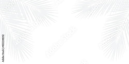 Soft palm leaf shadows on crisp white background, minimal tropical feel