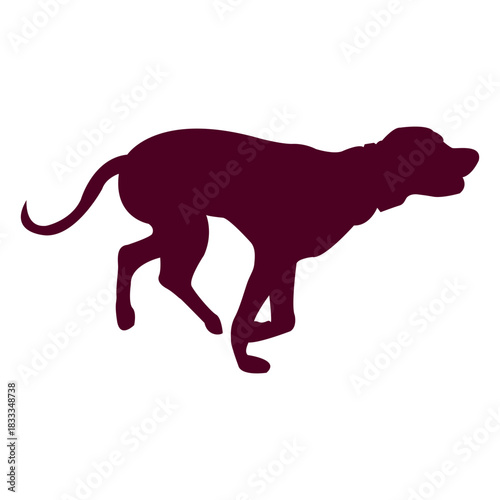 Dog running sequence 7